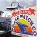Bar Harbor Whale Watch Company - Offering several distinct whale watching, sightseeing, light house & nature trips which sail daily throughout the summer season. A must do when visiting Acadia National Park!
