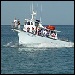 Acadian Fishing Tours - 4 hour fishing trips in Frenchman Bay, Bar Harbor. Great for families! We fish with light tackle so you experience the real action of fishing. Guaranteed to be a good time!