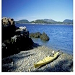 Acadia Park Kayak Tours - The most fun & unique guided ecological sea kayaking adventures on the coast of Maine. Small group tours, daytime/sunset tours, night tours, & private tours. Book today!