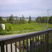 Sea Mist Cottage - Southwest Harbor - Ocean view cottage rental, just a 5 minute walk to Seawall Beach & 3 miles from Southwest Harbor. Sit on the deck & enjoy a cup of coffee while watching ocean & sunrise!