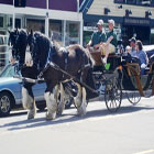 Wild Iris Farm - Horse Carriage Tours