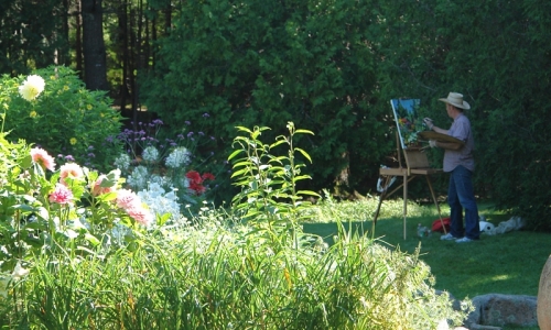 Maine Thuya Garden