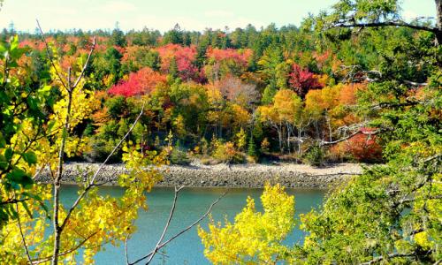 Mount Desert Island Maine