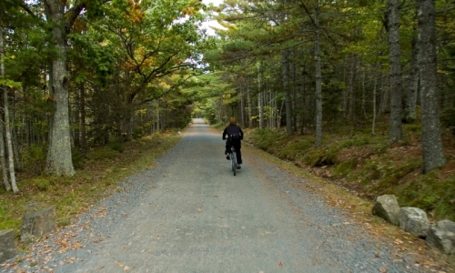 Acadia National Park Biking