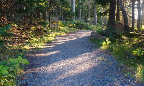 Acadia National Park Hikes