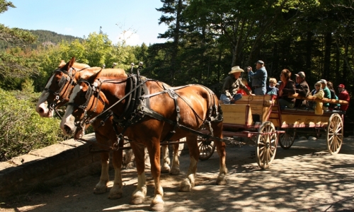 Bar Harbor Kids Fun
