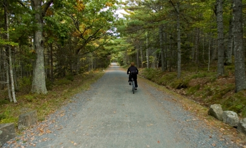 Bar Harbor Kids Things To Do