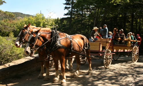Carriage Road Trail Ride Acadia National Park Maine