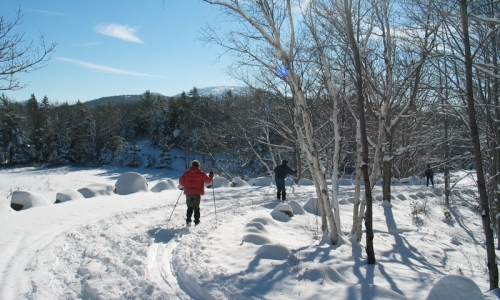 Bar Harbor Cross Maine Country Skiing