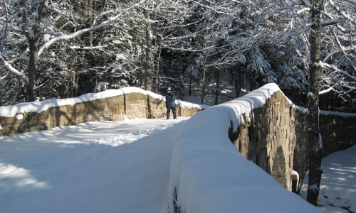 Acadia Cross Country Ski Trails