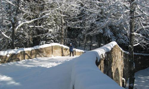 Cross Country Skiing in Acadia National Park