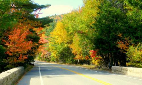 Acadia National Park Loop Road