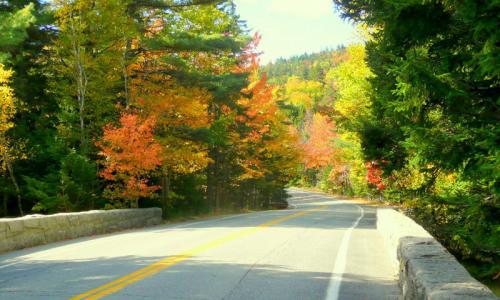 Acadia Park Park Loop Road