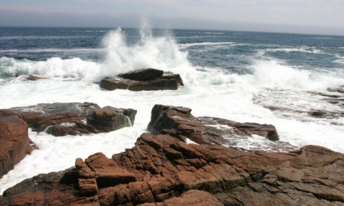 Thunder Hole Acadia National Park