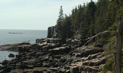 Otter Cliffs