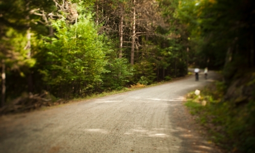 Bar Harbor Maine Scenic Drives
