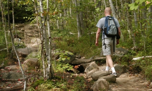 Champlain Mountan Hiking Trail Maine