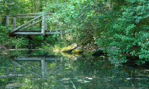 Acadia Sieur De Monts Spring
