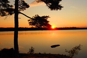Great Pond Cabins in Franklin ME