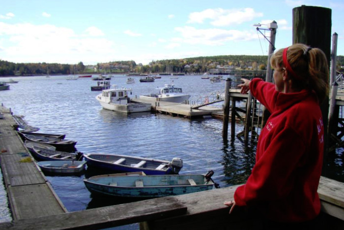 At Your Service Tours & Transportation — , 