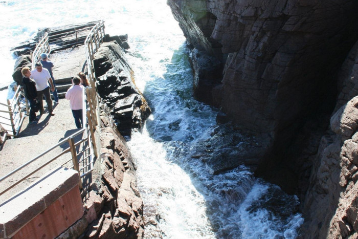 At Your Service Tours & Transportation — Bar Harbor, ME