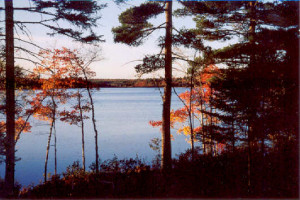 Great Pond Cabins in Franklin ME