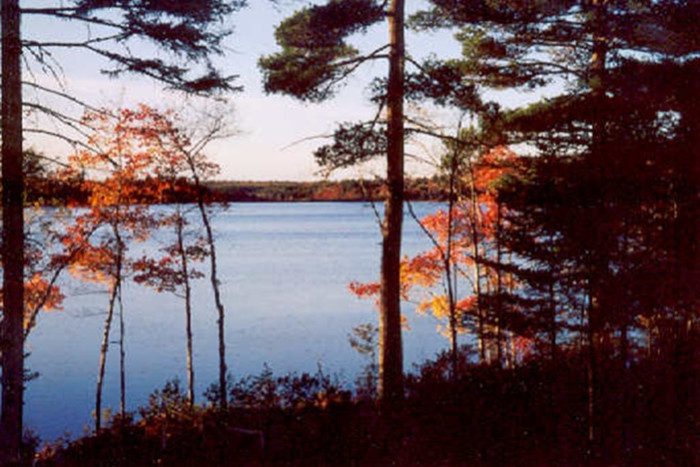 Great Pond Cabins — Franklin, ME