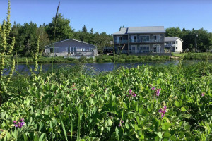 Seawall Motel in Southwest Harbor