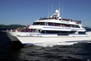 Bar Harbor Whale Watch Company