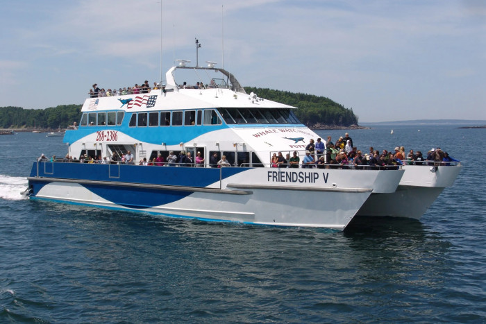 Bar Harbor Whale Watch Company — Bar Harbor, ME