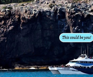 Whale Watching Tours.