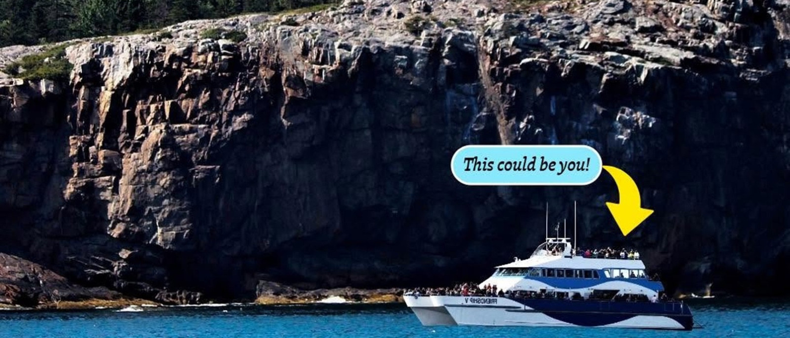 Whale Watching Tours.