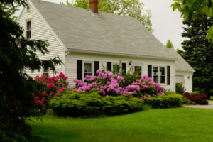 The Eden House | Accepts 2 dogs in your group