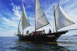 Ambergris Voyages - occasional whale sightings