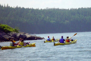Maine State Kayak Aqua Safari Tour
