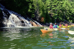 Aqua Safari Kayaking Tour from Southwest Harbor