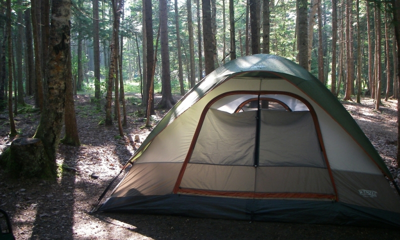 Seawall Campground Acadia