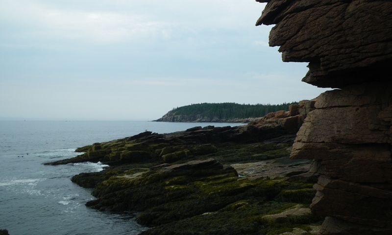 Looking South from Thunder Hole