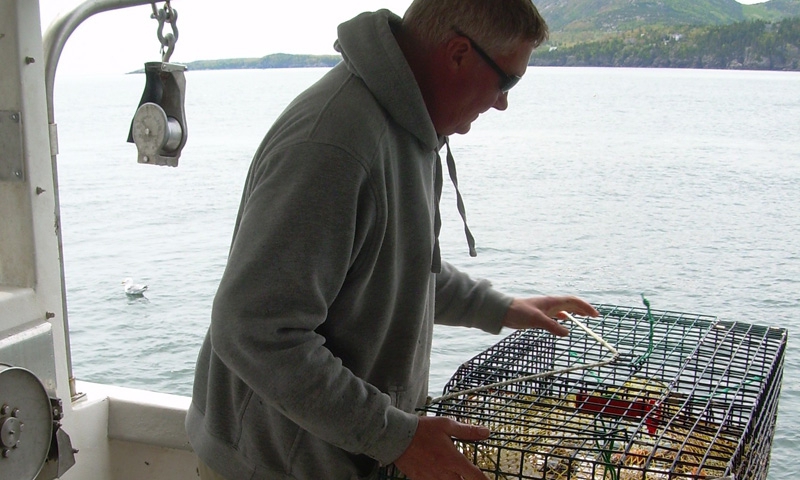 Acadia Lobster Fishing