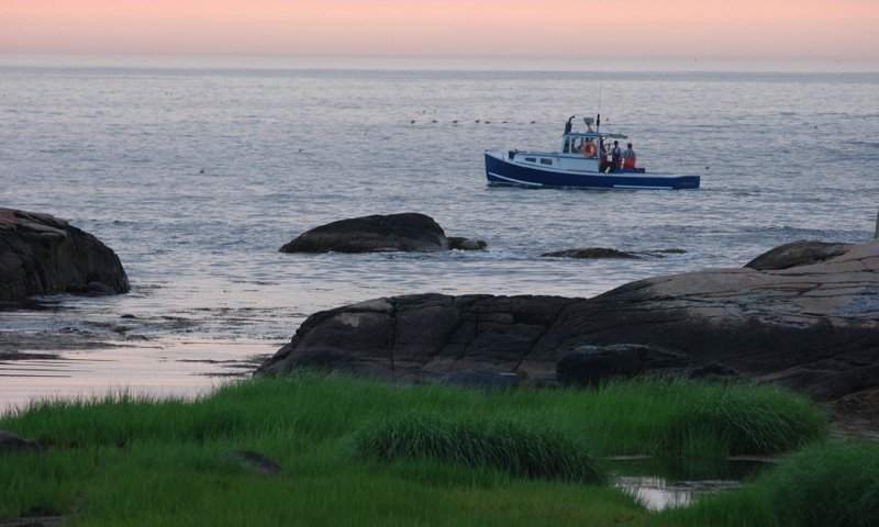 Maine Lobster Boat Boats
