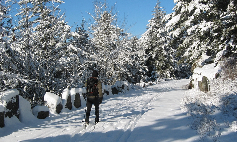 Cross Country Skiing near Jordan Pond