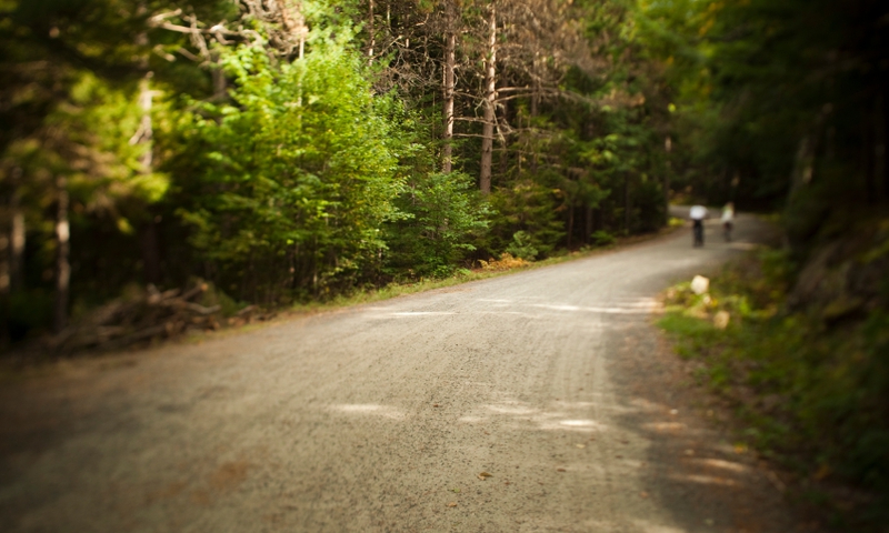 Acadia National Park Maine Carriage Trails Carriage Roads Biking