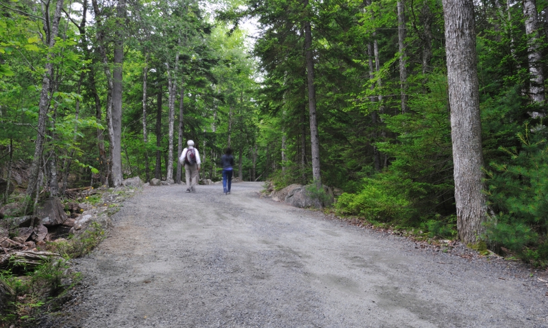 Acadia National Park Maine Carriage Trails Carriage Roads Hiking