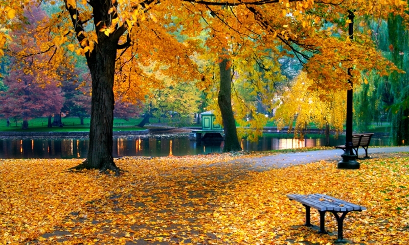 Boston Massachusetts Public Garden