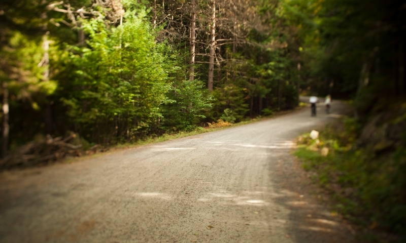 Acadia National Park Maine Carriage Trails Carriage Roads Biking