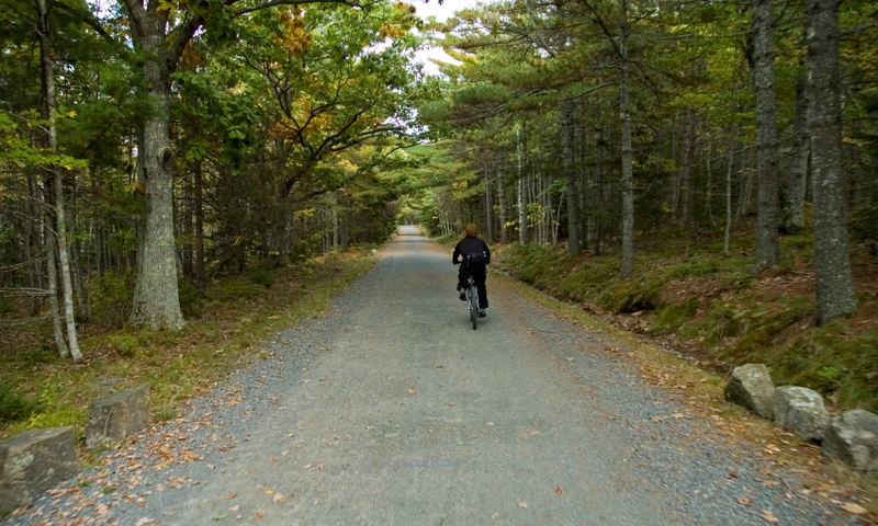 Biking Trail Carriage Road Acadia National Park Maine