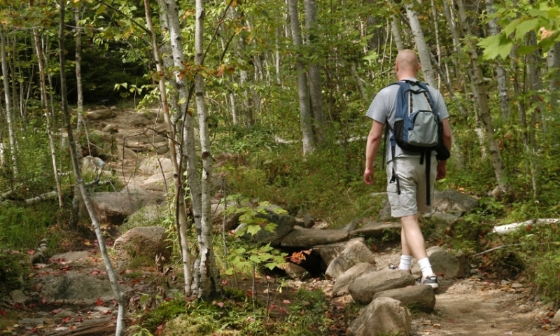 Acadia National Park Maine Champlain Mountain Hiking Trail