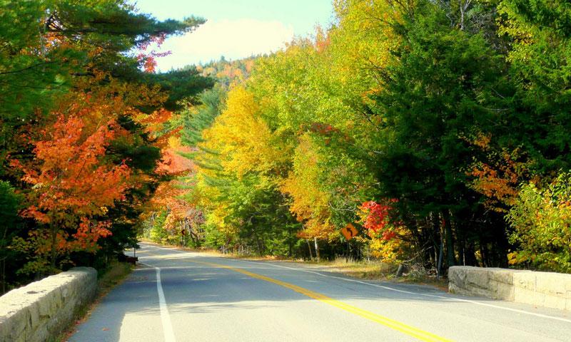 Park Look Road in Acadia National Park