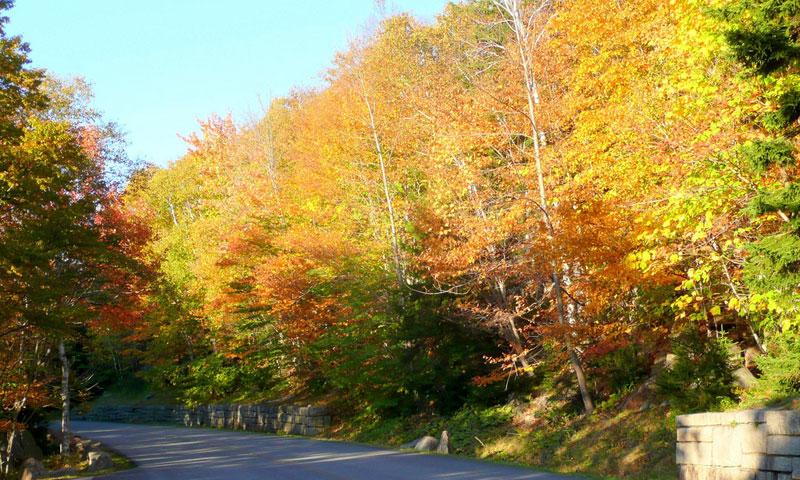 Park Loop Road through Acadia National Park