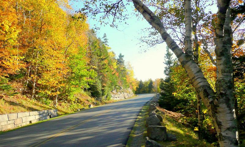 Park Loop Road through Acadia National Park